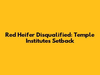 Red Heifer Disqualified: Temple Institute's Setback