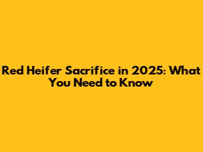 Red Heifer Sacrifice in 2025: What You Need to Know