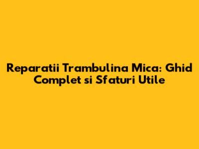 Reparatii Trambulina Mica: Ghid Complet si Sfaturi Utile