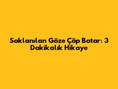 Saklanılan Göze Çöp Batar: 3 Dakikalık Hikaye