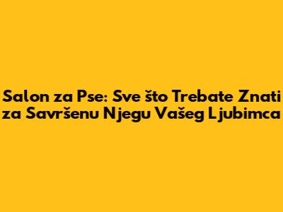 Salon za Pse: Sve što Trebate Znati za Savršenu Njegu Vašeg Ljubimca