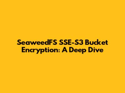 SeaweedFS SSE-S3 Bucket Encryption: A Deep Dive