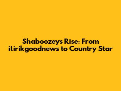 Shaboozey's Rise: From ilirikgoodnews to Country Star
