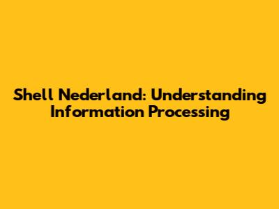 Shell Nederland: Understanding Information Processing