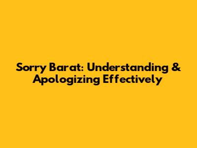 Sorry Barat: Understanding & Apologizing Effectively