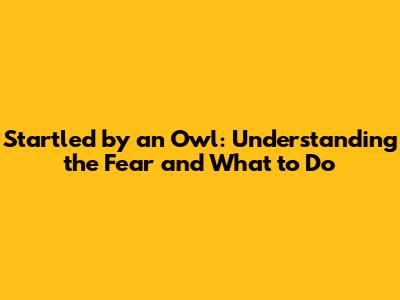 Startled by an Owl: Understanding the Fear and What to Do