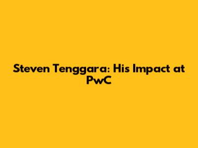 Steven Tenggara: His Impact at PwC