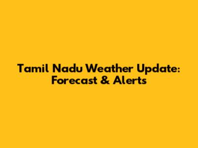 Tamil Nadu Weather Update: Forecast & Alerts