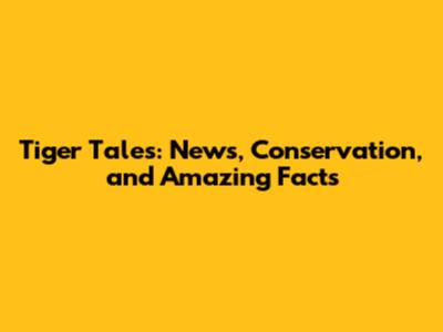 Tiger Tales: News, Conservation, and Amazing Facts