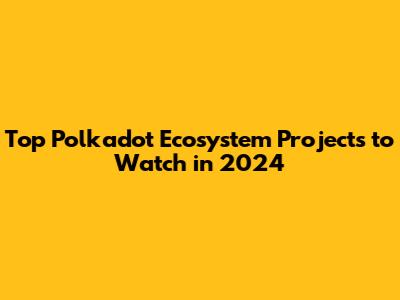 Top Polkadot Ecosystem Projects to Watch in 2024