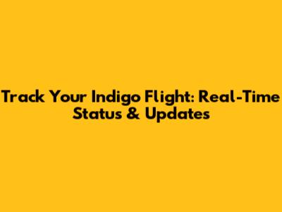 Track Your Indigo Flight: Real-Time Status & Updates