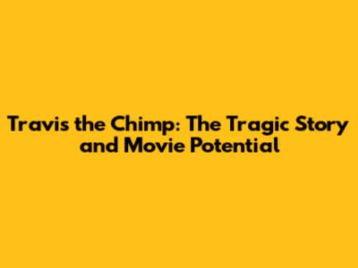 Travis the Chimp: The Tragic Story and Movie Potential