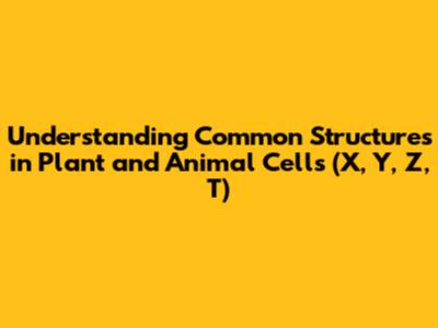 Understanding Common Structures in Plant and Animal Cells (X, Y, Z, T)