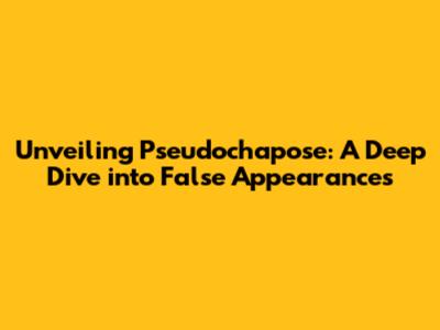 Unveiling Pseudochapose: A Deep Dive into False Appearances