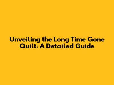 Unveiling the 'Long Time Gone' Quilt: A Detailed Guide