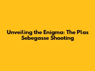 Unveiling the Enigma: The Plas Sebegasse Shooting