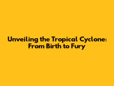 Unveiling the Tropical Cyclone: From Birth to Fury