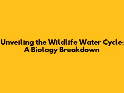 Unveiling the Wildlife Water Cycle: A Biology Breakdown