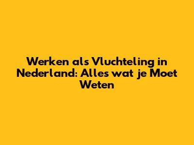 Werken als Vluchteling in Nederland: Alles wat je Moet Weten