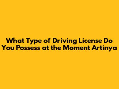 What Type of Driving License Do You Possess at the Moment Artinya