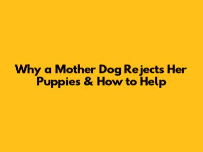 Why a Mother Dog Rejects Her Puppies & How to Help
