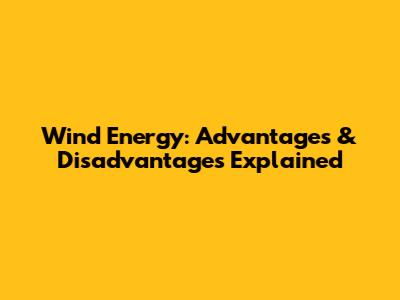 Wind Energy: Advantages & Disadvantages Explained